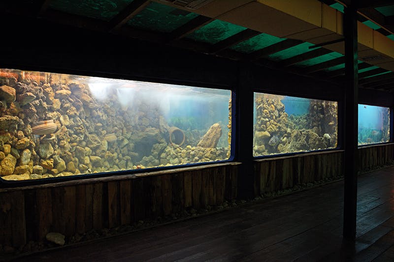 Corfu Aquarium - image 1