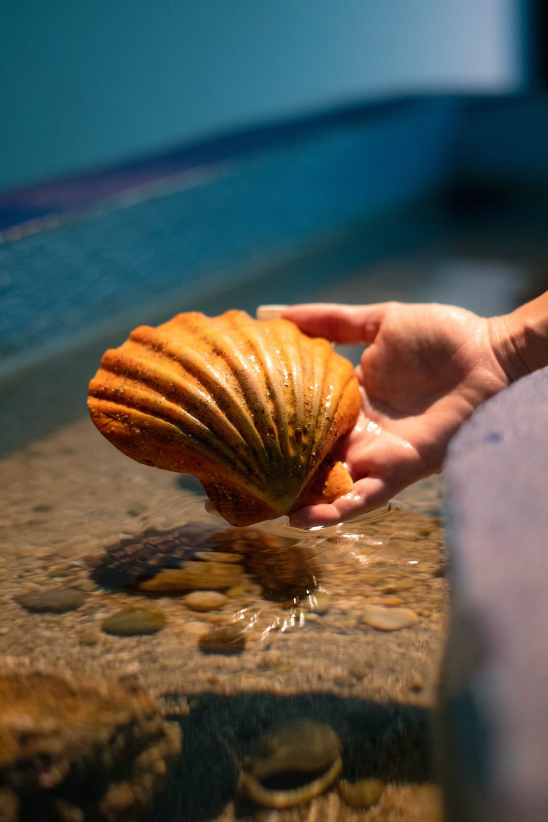 Corfu Aquarium - image 1